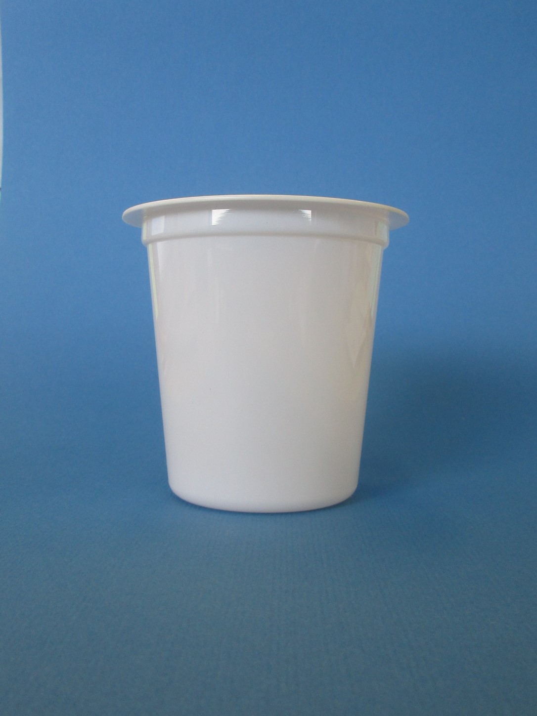 Image 1.jpg