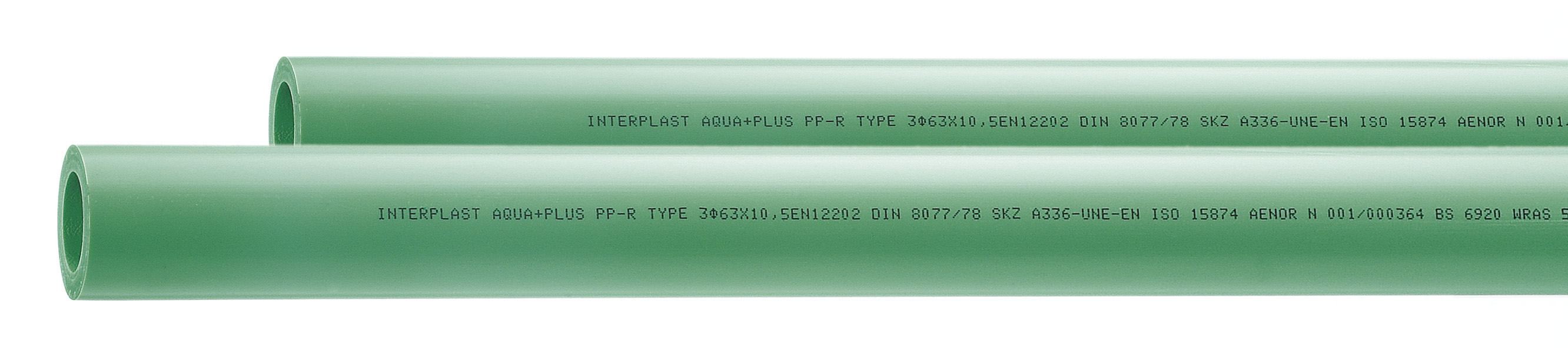 S-P-02120 Image 1.jpg