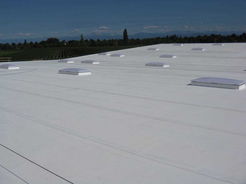 TPO on roof.jpg