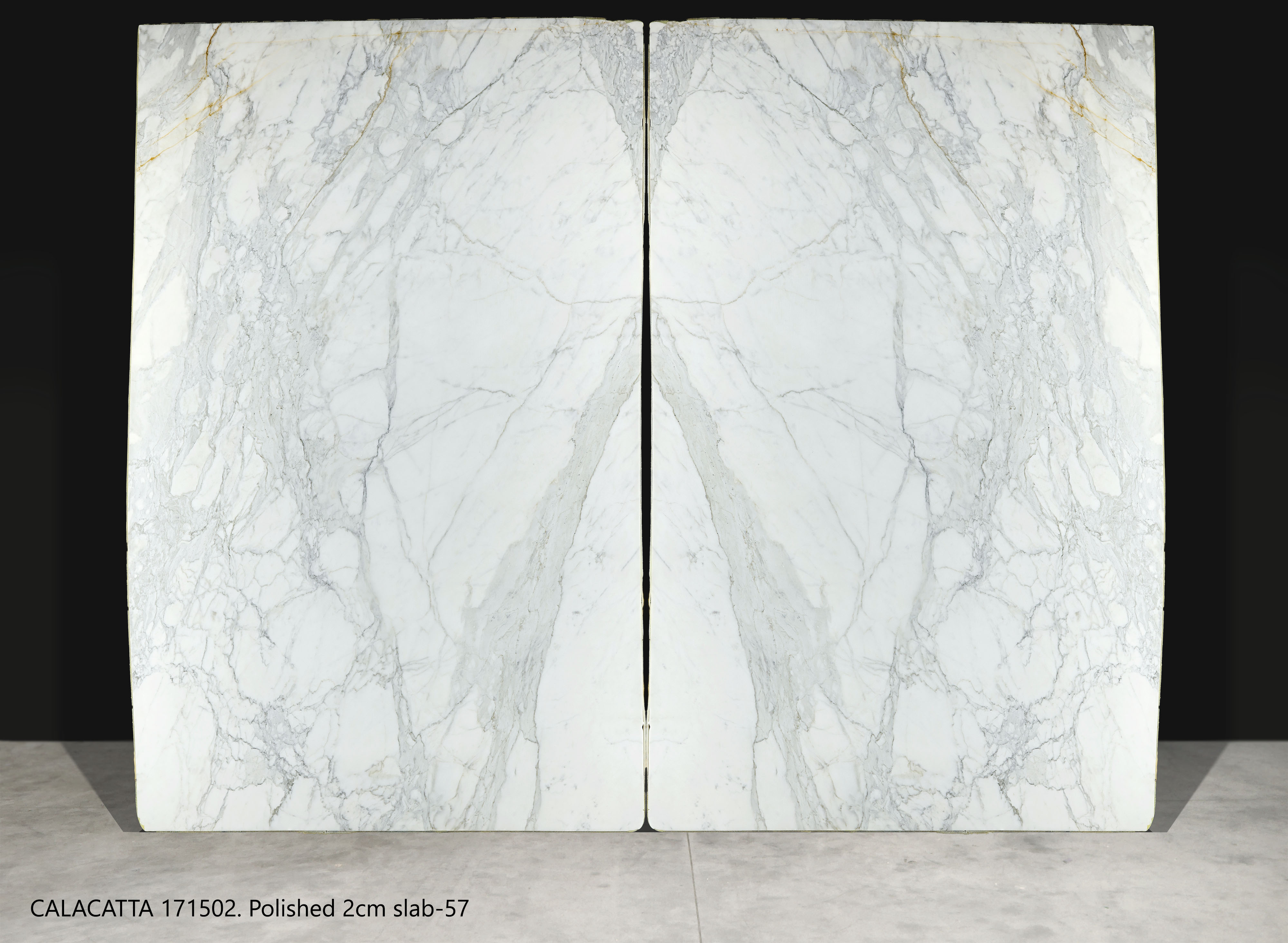 CALACATTA-171502.-Polished-2cm-slab-57-2.jpg
