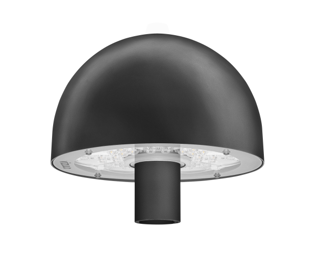 Blackbird_mushroom_34-5x4-medium.png
