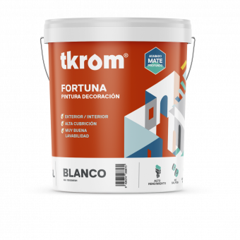 TKROM MATE FORTUNA.png