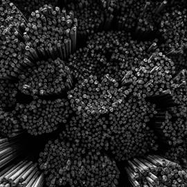 Cover image for Lorem ipsum