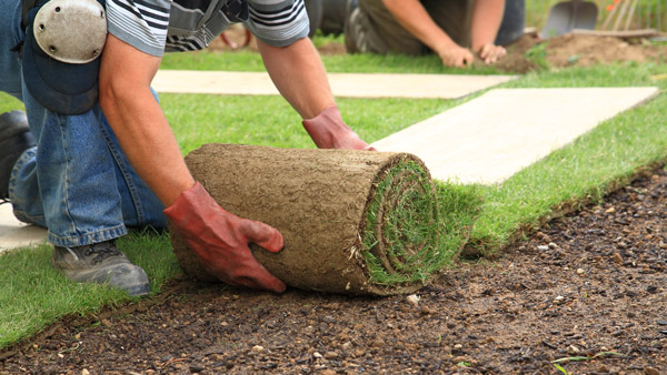 landscape-construction.jpg