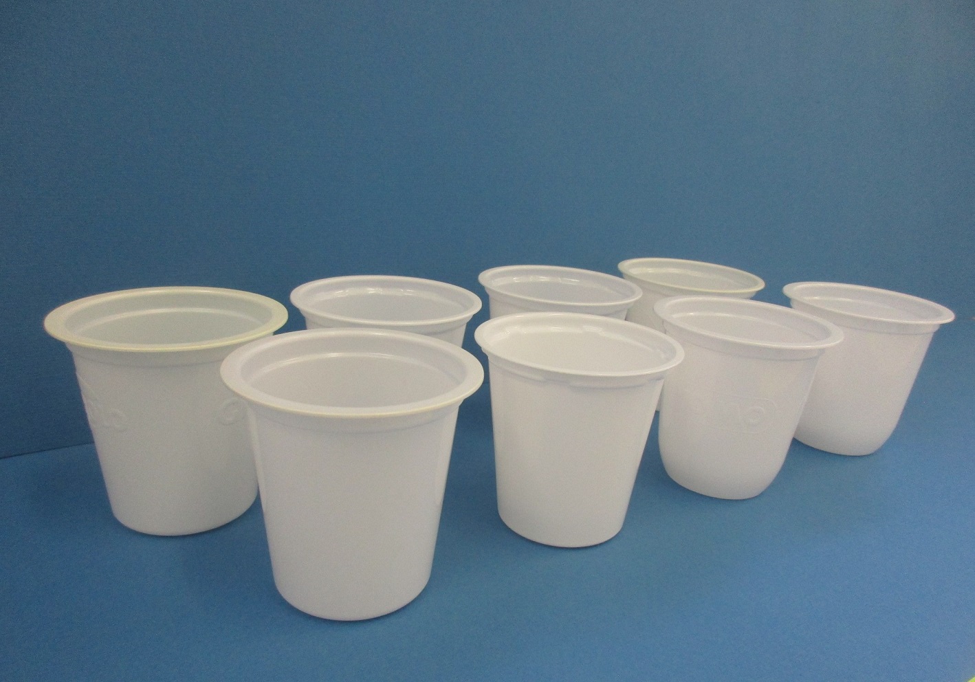 Image 13.jpg