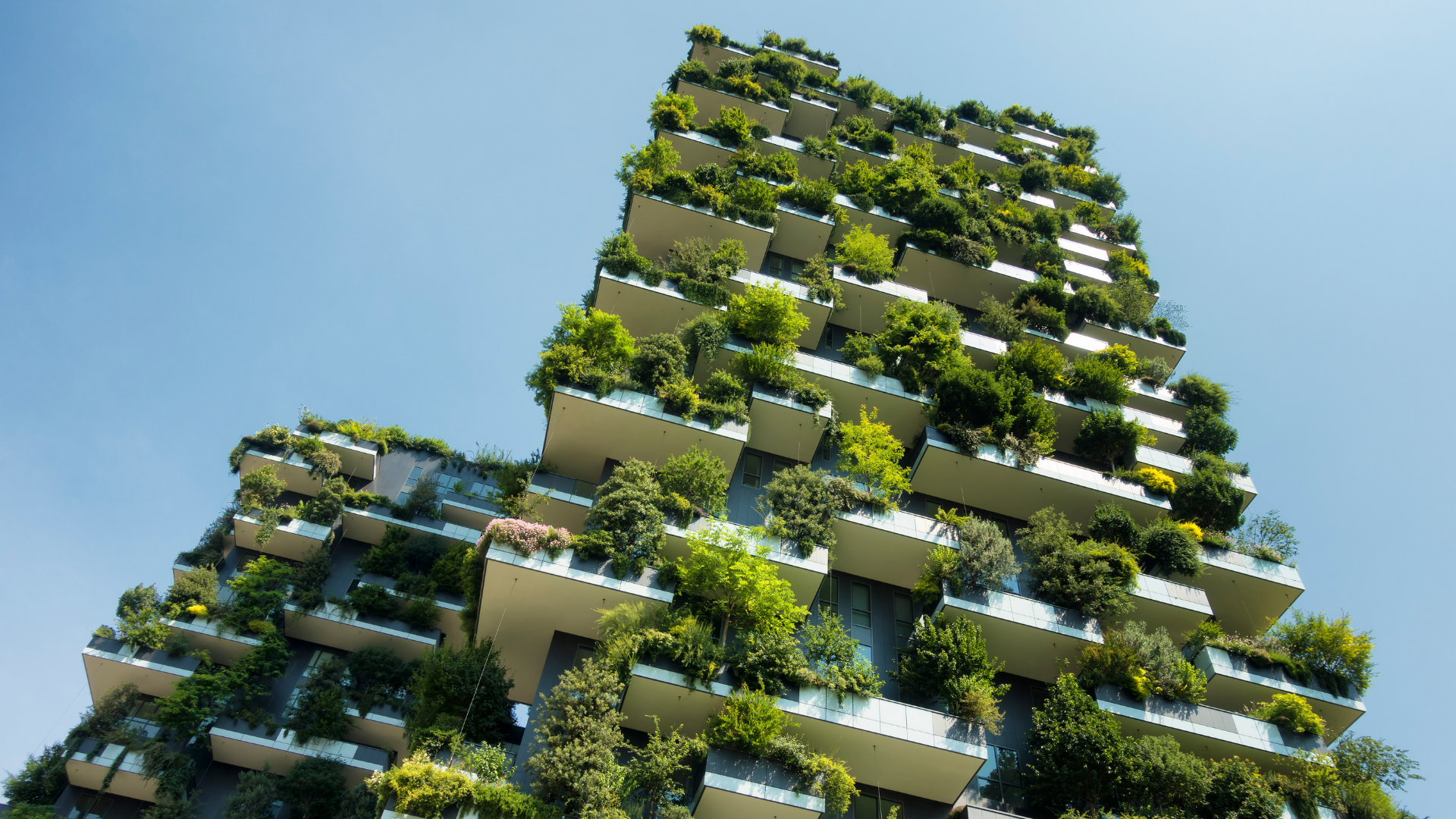 Photo_Green Building.png