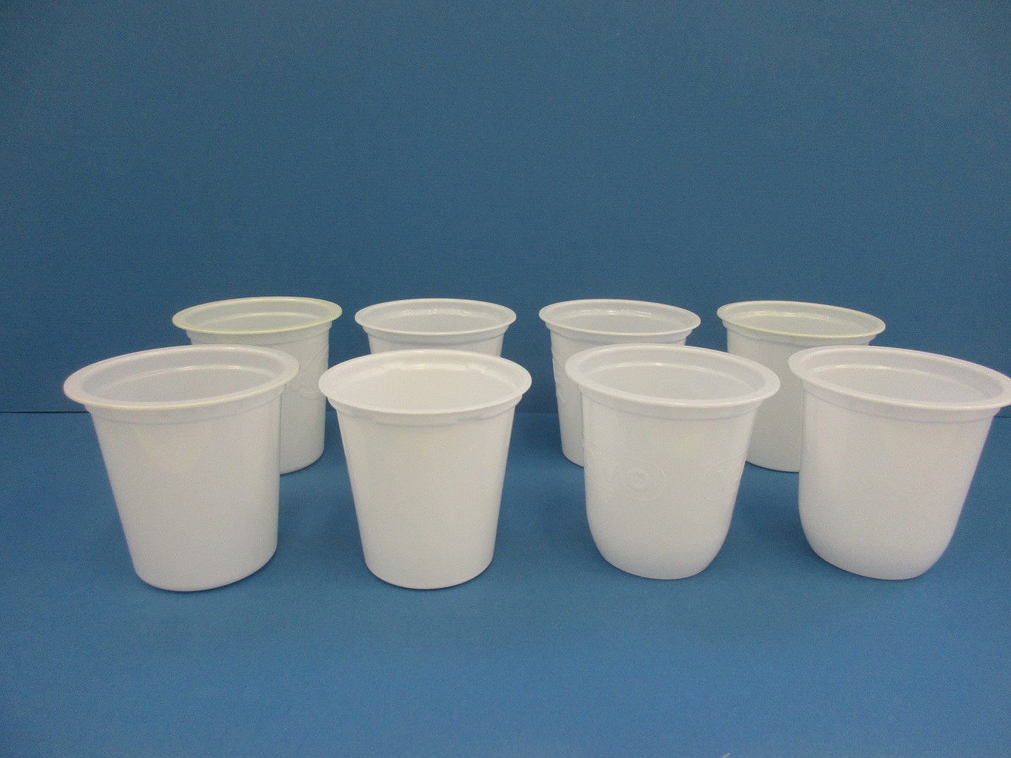 Image 11.JPG