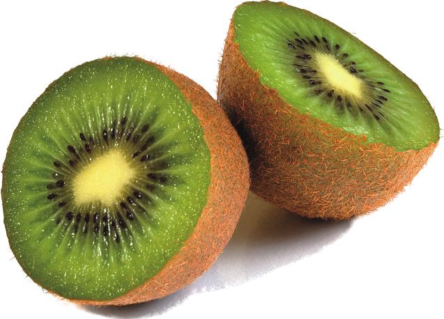 S-P-00310 Image 1 (kiwi)