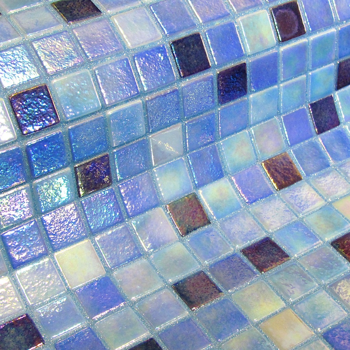 Delphinus-Fosfo-Mosaic-Ezarri.jpg