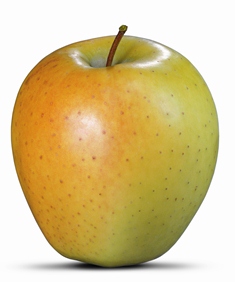 S-P-00369 Image 1