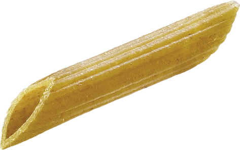 Pennette_rig_integrali_fs_vivo.png