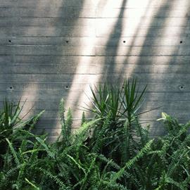 Cover image for Lorem ipsum