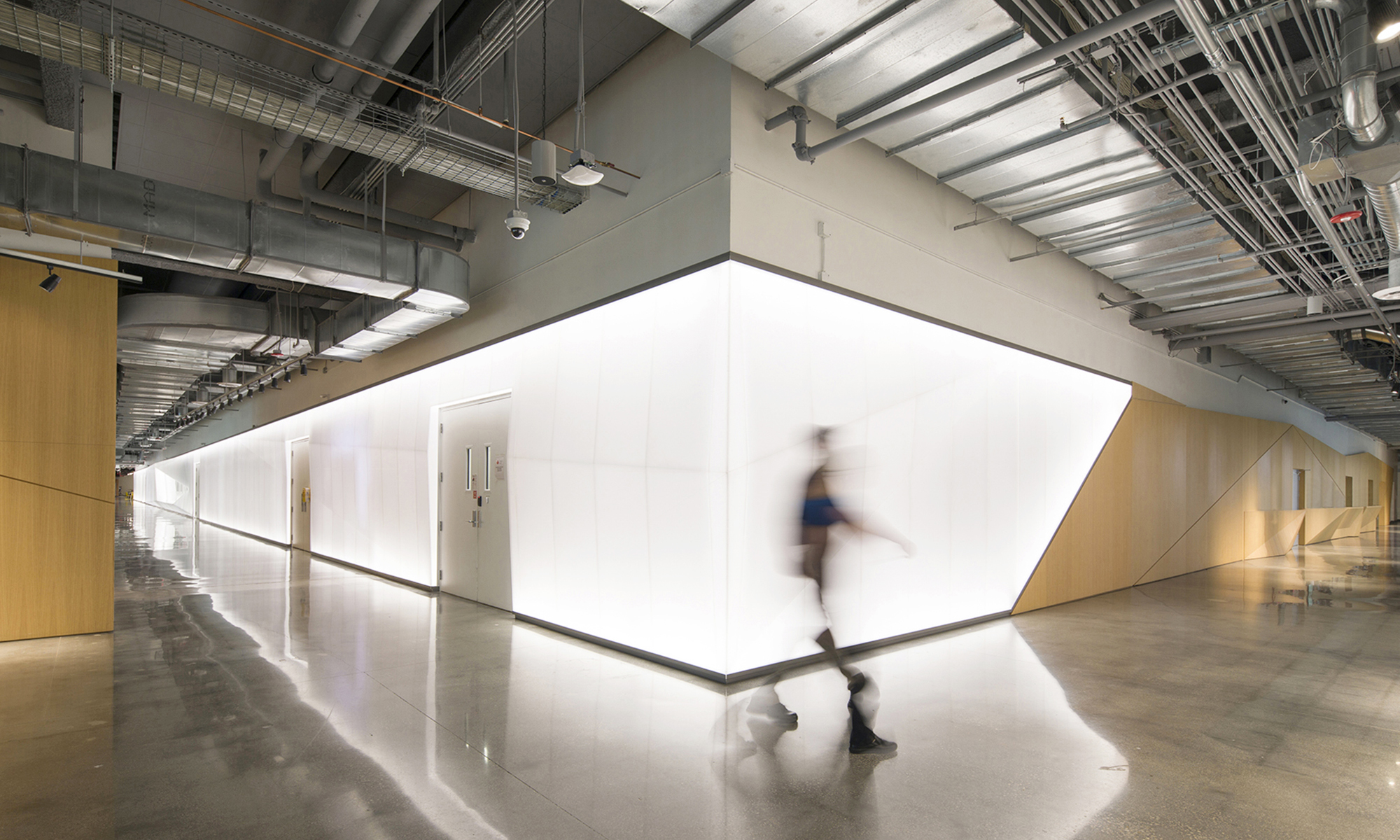 Magic Leap HQ Glavovic Studio Photo Robin Hill 1.jpg