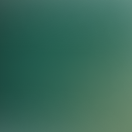 Cover image for #9873 Test variation