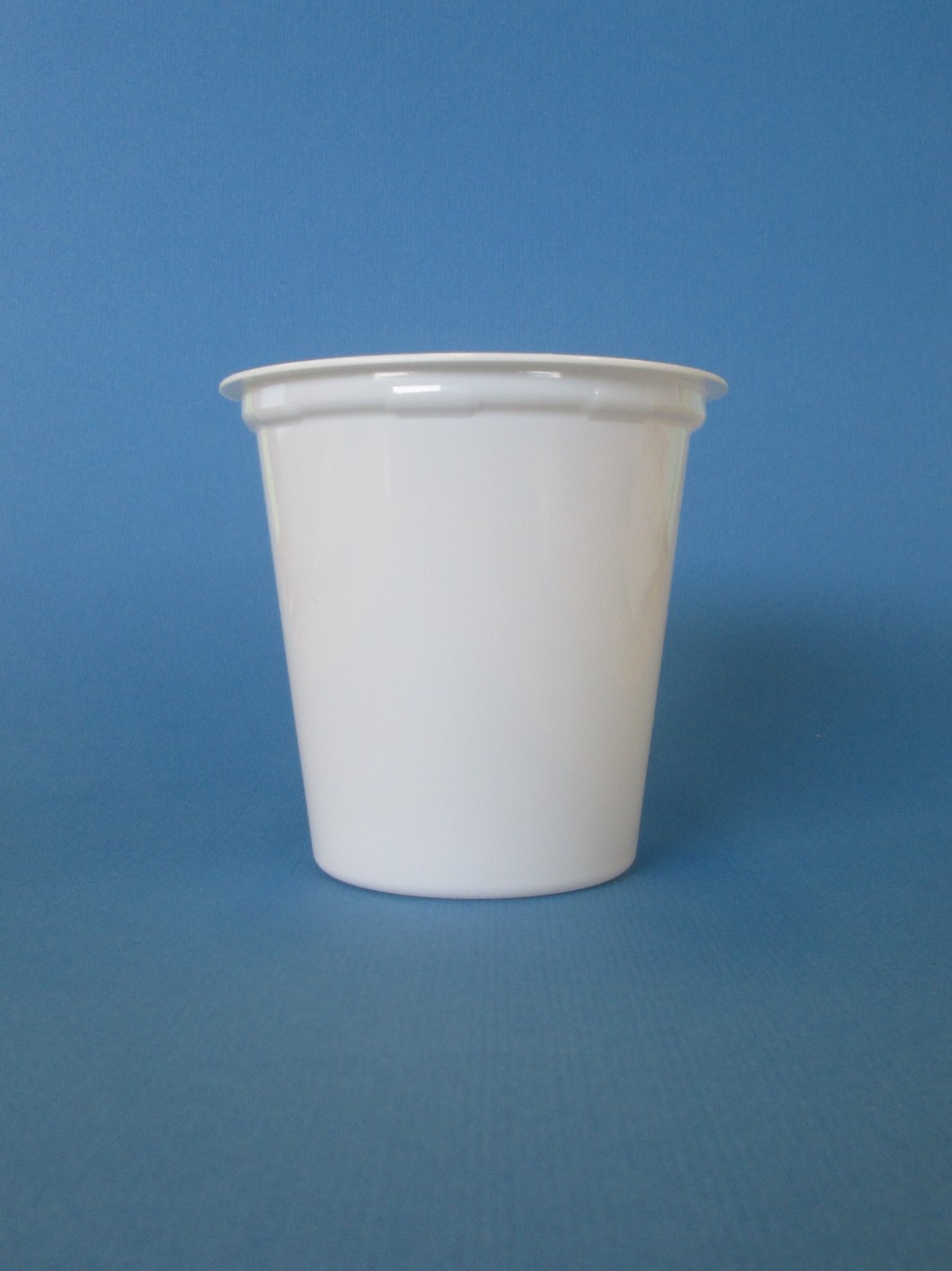 Image 4.jpg