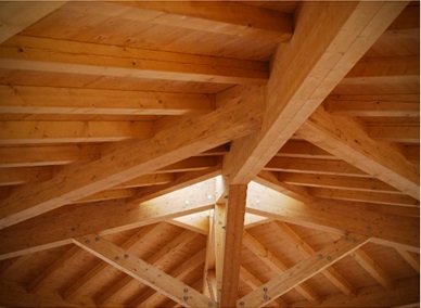 S-P-01101 Image 2