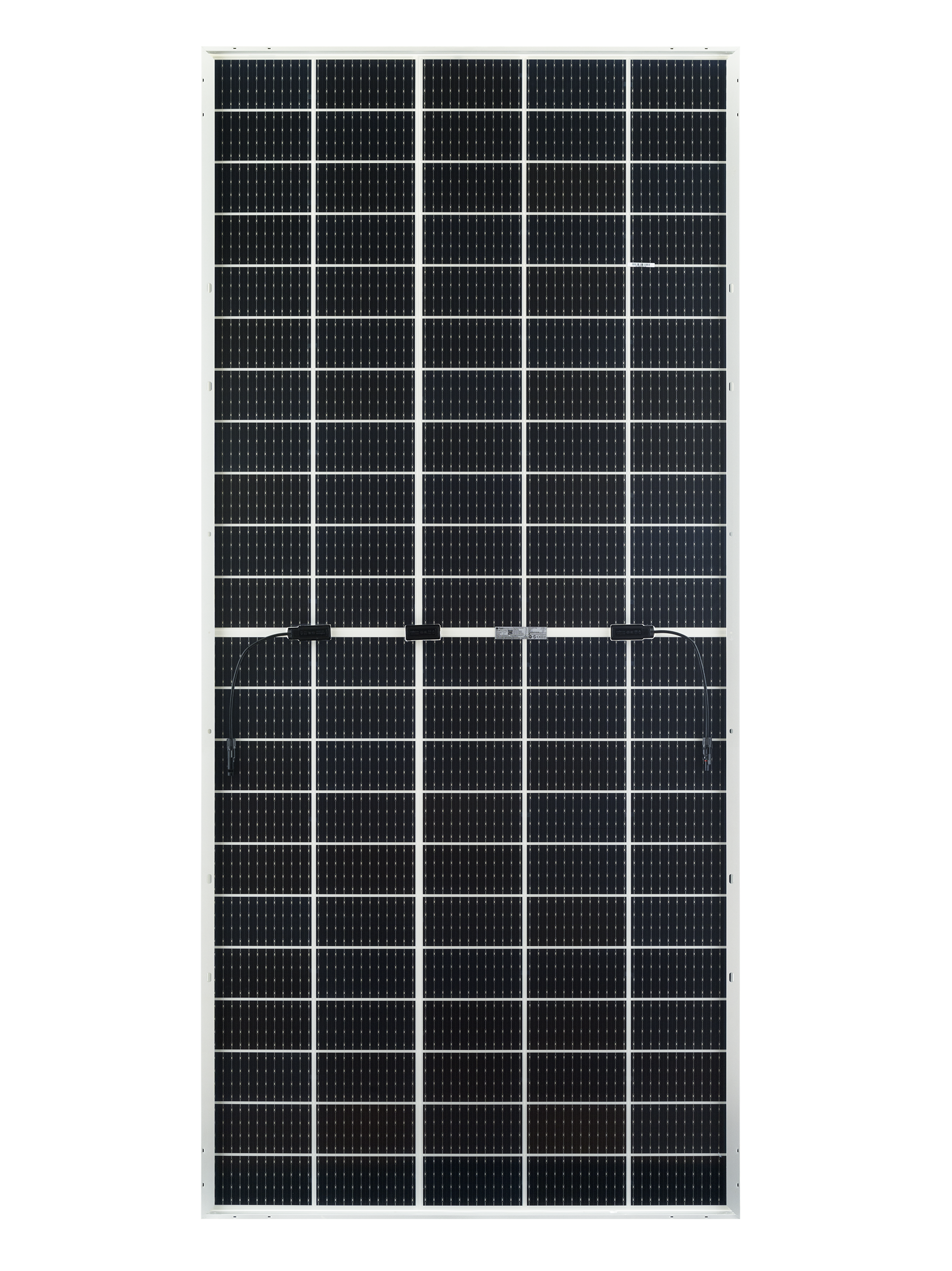S-P-04781-2.png