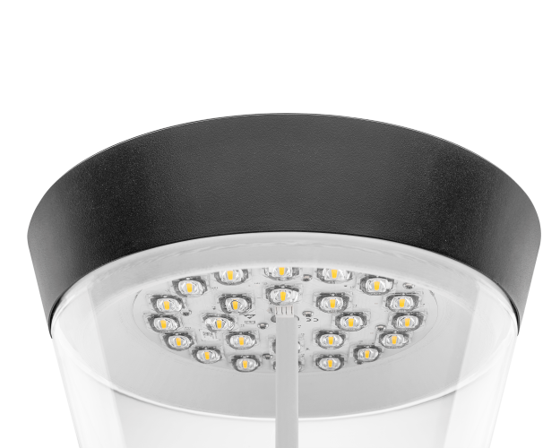 Luscinia_post_top_optics-5x4-medium.png