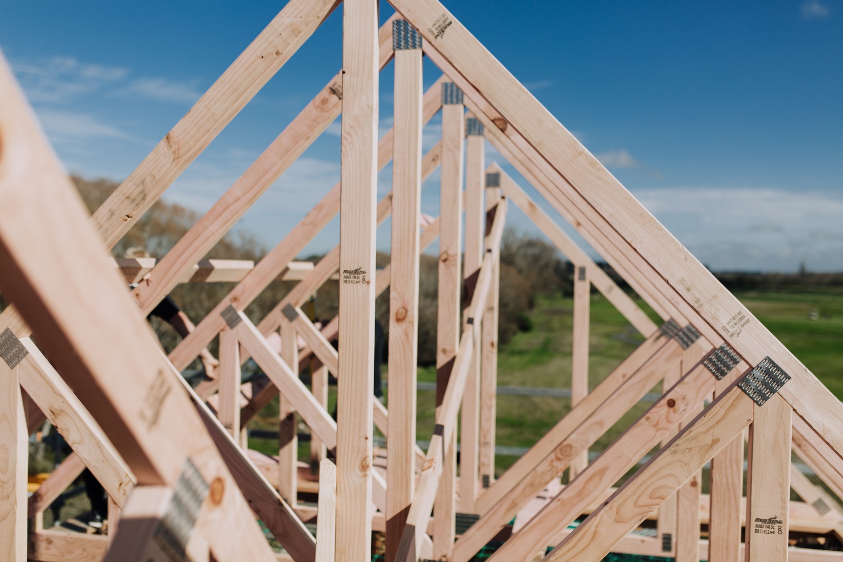 RS Timber - product image.jpg